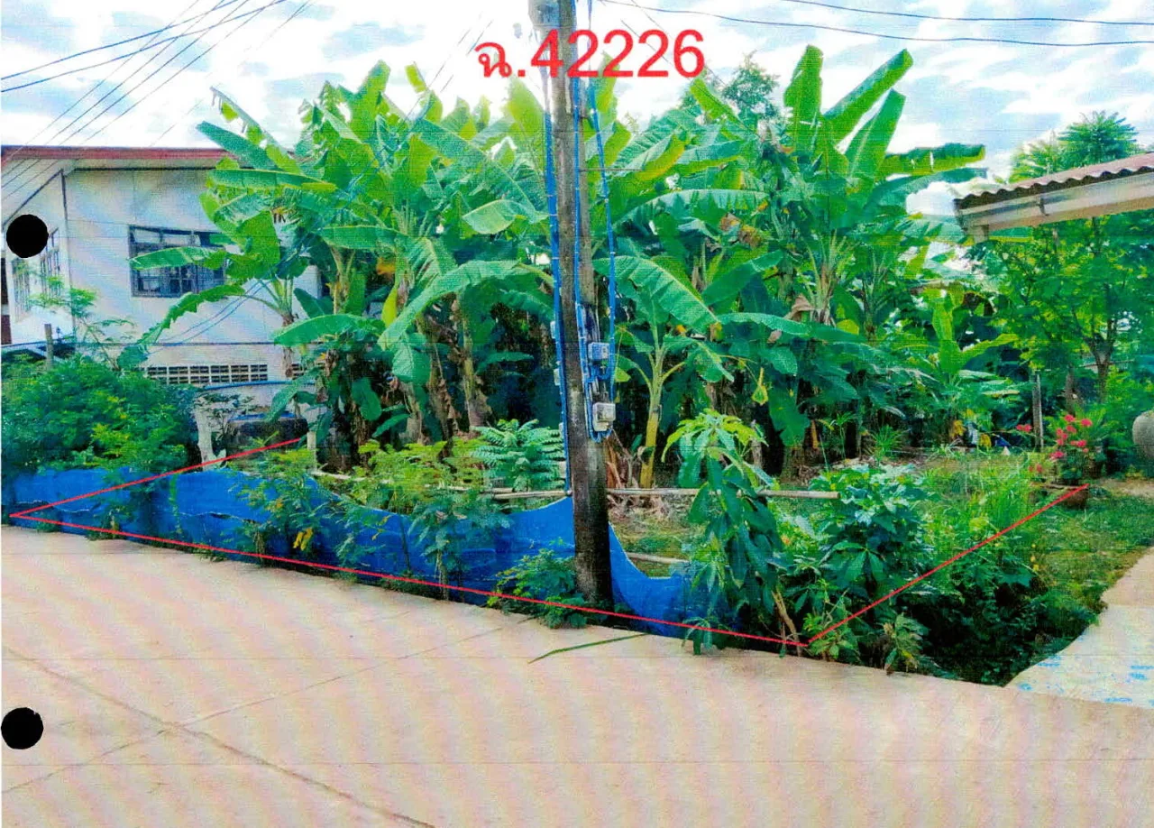 ขายทอดตลาด ที่ดินว่างเปล่า ต.ทรายมูล อ.พิบูลมังสาหาร จ.อุบลราชธานี