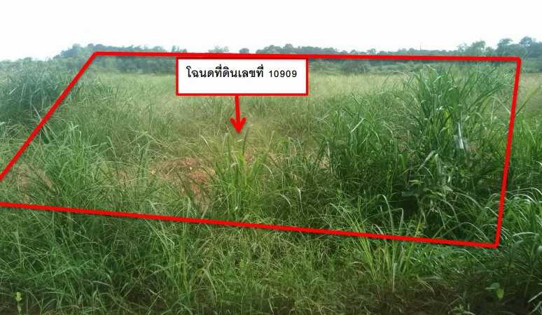 ขายทอดตลาด ที่ดินว่างเปล่า ต.บ้านฝาง อ.สระใคร จ.หนองคาย