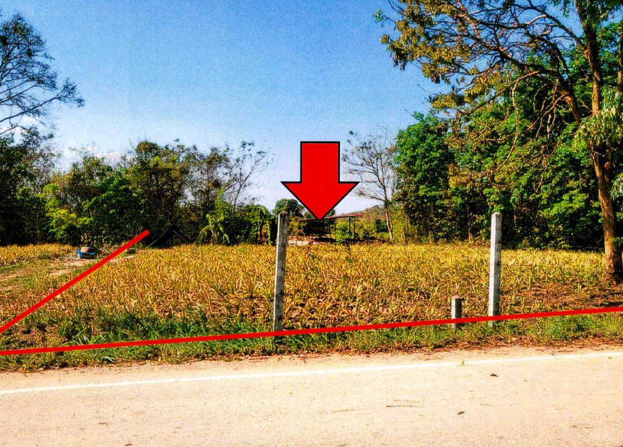 ขายทอดตลาด ที่ดินว่างเปล่า ต.หนองปลาปาก อ.ศรีเชียงใหม่ จ.หนองคาย