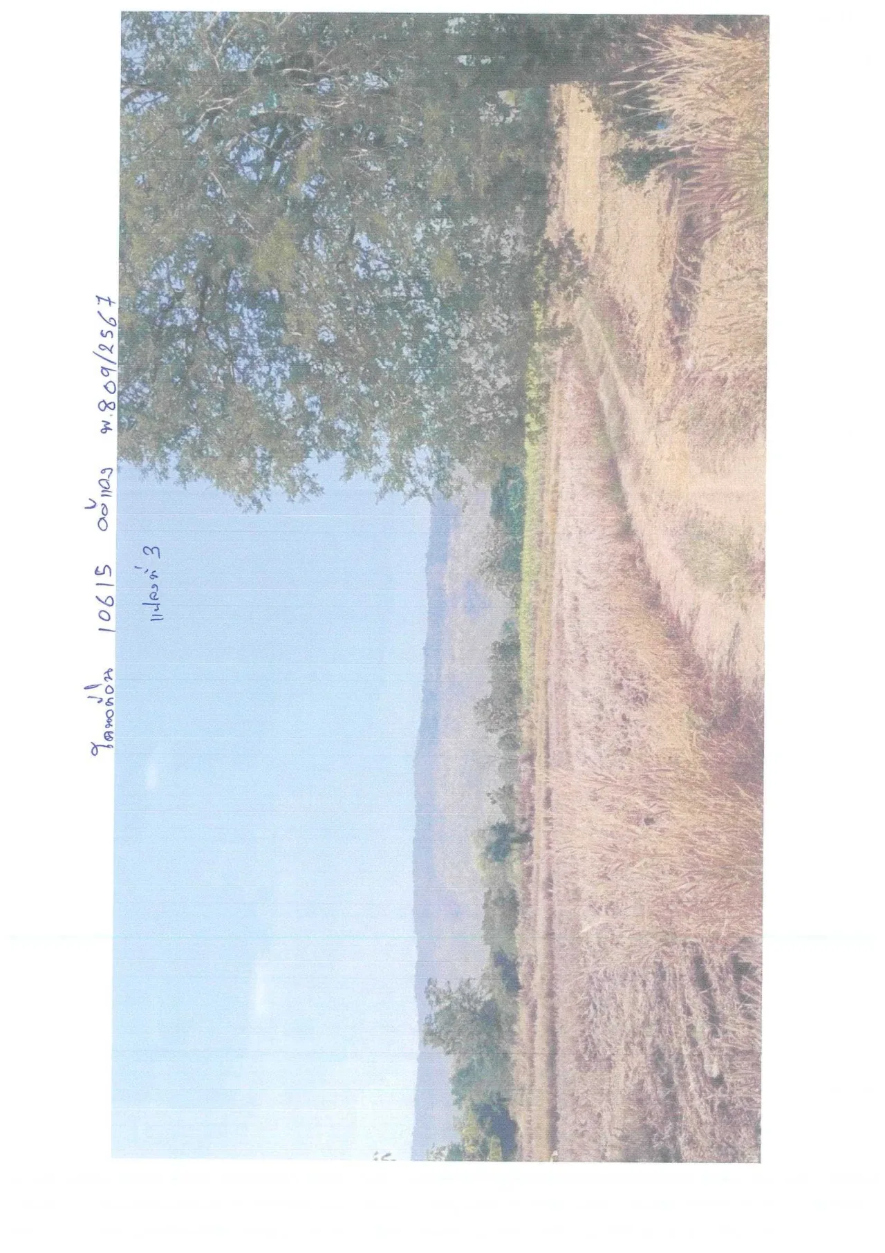 ขายทอดตลาด ที่ดินว่างเปล่า จ.หนองบัวลำภู