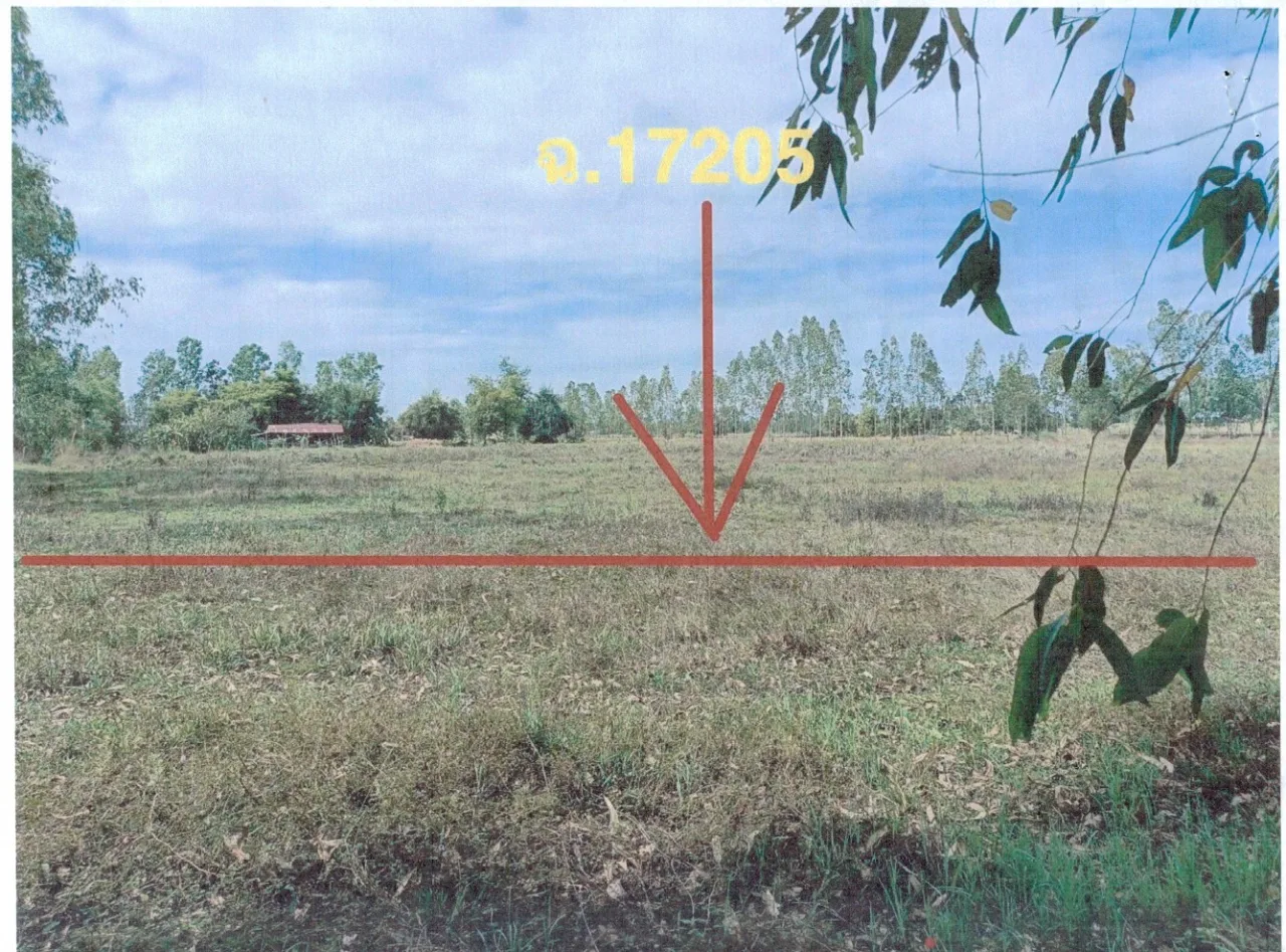 ขายทอดตลาด ที่ดินว่างเปล่า ต.บ้านฝาง อ.สระใคร จ.หนองคาย
