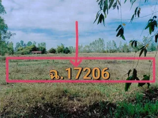 รูปทรัพย์ 2