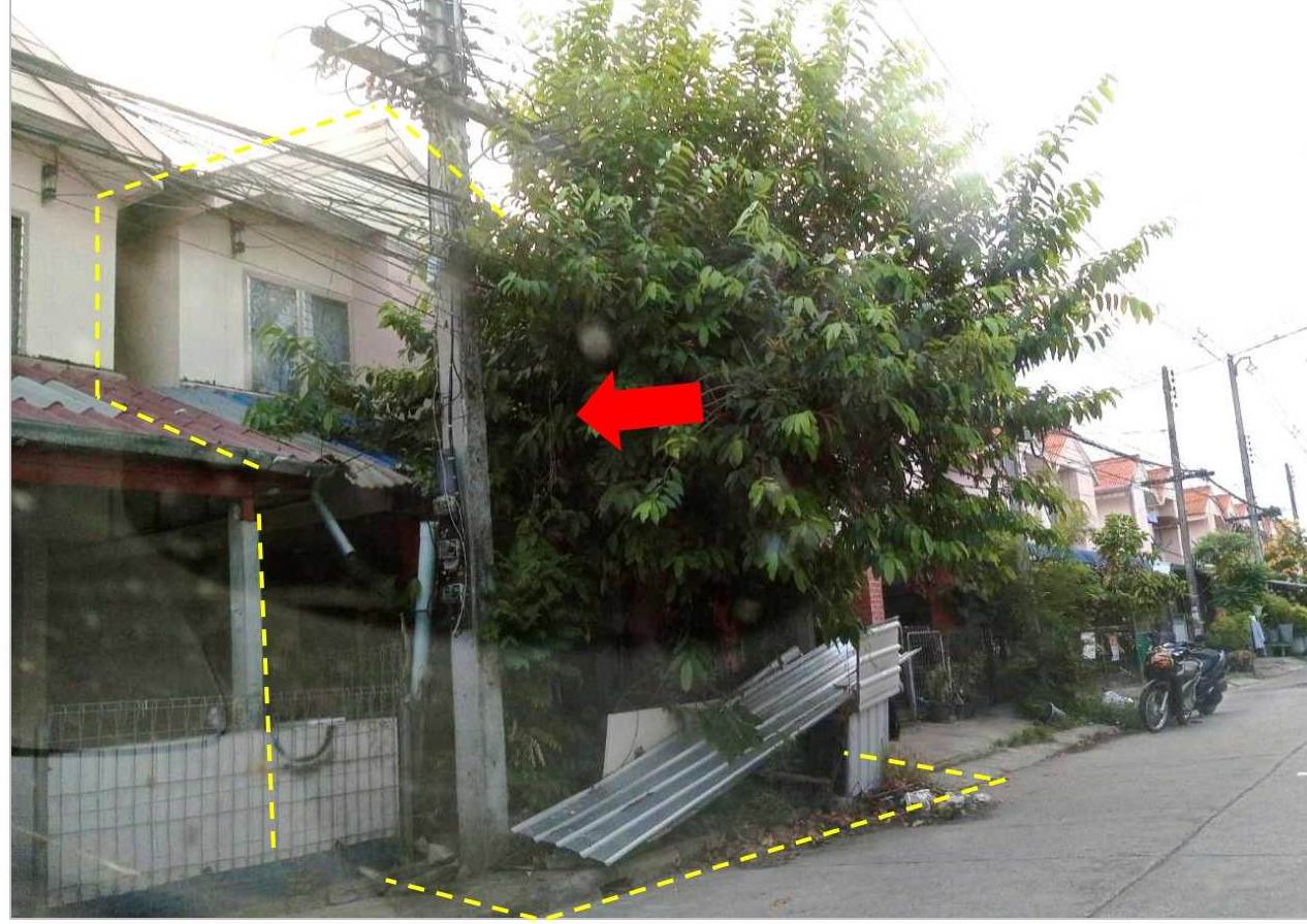 ขายทอดตลาด ที่ดินพร้อมสิ่งปลูกสร้าง ต.หนองบัว อ.เมืองหนองบัวลำภู จ.หนองบัวลำภู