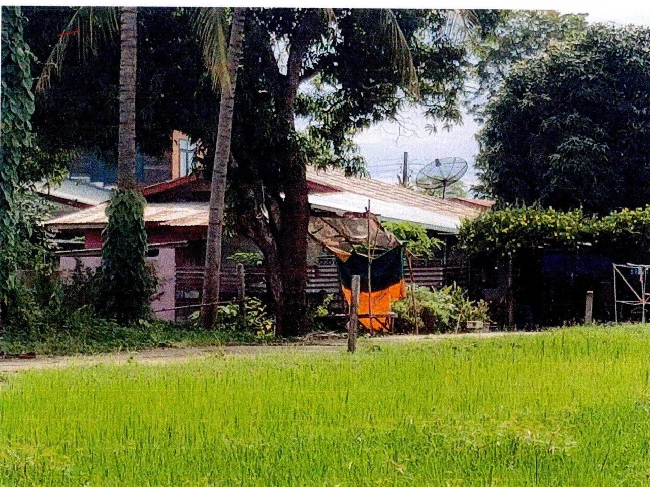 ขายทอดตลาด ที่ดินพร้อมสิ่งปลูกสร้าง ต.โพนสา อ.ท่าบ่อ จ.หนองคาย