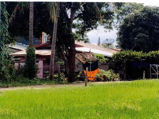 ขายทอดตลาด ที่ดินพร้อมสิ่งปลูกสร้าง ต.โพนสา อ.ท่าบ่อ จ.หนองคาย