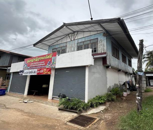 ขายทอดตลาด ที่ดินพร้อมสิ่งปลูกสร้าง ต.ยางโยภาพ อ.ม่วงสามสิบ จ.อุบลราชธานี