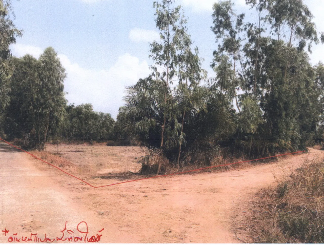 ขายทอดตลาด ที่ดินว่างเปล่า ต.ศรีสุข อ.เขื่องใน จ.อุบลราชธานี