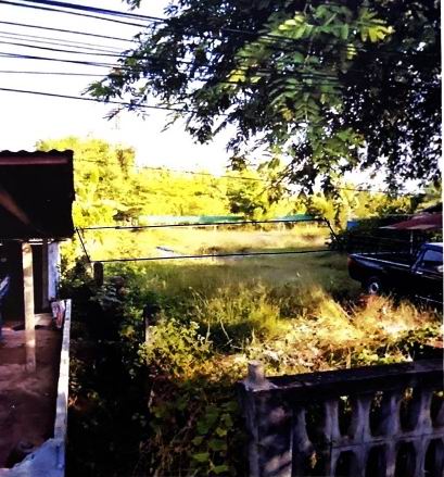 ขายทอดตลาด ที่ดินว่างเปล่า ต.บ้านถ่อน อ.ท่าบ่อ จ.หนองคาย