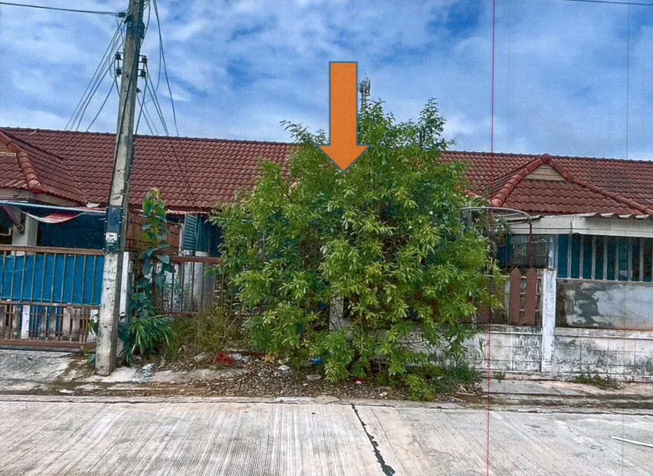 ขายทอดตลาด ที่ดินพร้อมสิ่งปลูกสร้าง ต.ท่าทองใหม่ อ.กาญจนดิษฐ์ จ.สุราษฎร์ธานี