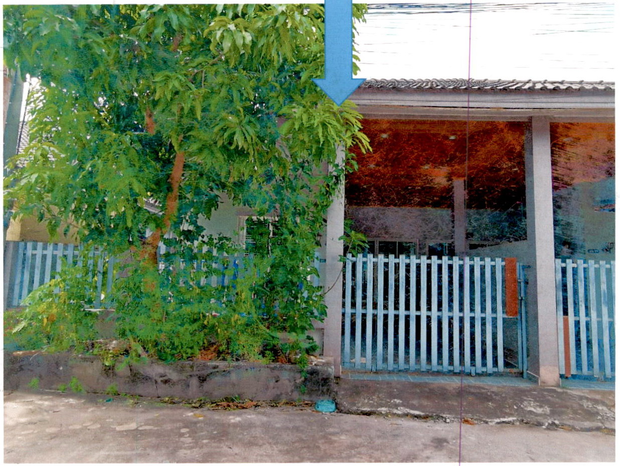 ขายทอดตลาด ที่ดินพร้อมสิ่งปลูกสร้าง ต.วัดประดู่ อ.เมืองสุราษฎร์ธานี จ.สุราษฎร์ธานี