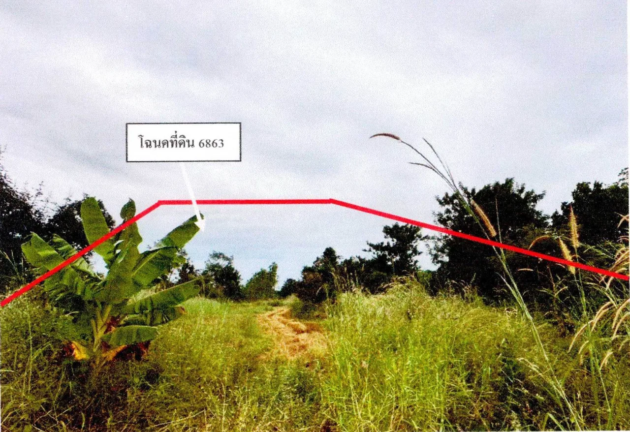 ขายทอดตลาด ที่ดินว่างเปล่า ต.บ้านฝาง อ.สระใคร จ.หนองคาย