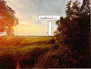 รูปทรัพย์ 1