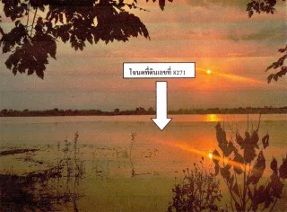 รูปทรัพย์ 2