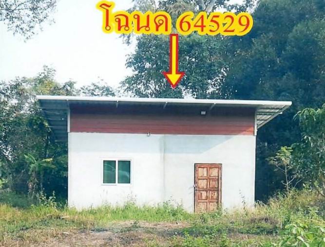 ขายทอดตลาด ที่ดินพร้อมสิ่งปลูกสร้าง ต.โพธิ์ไทร อ.พิบูลมังสาหาร จ.อุบลราชธานี