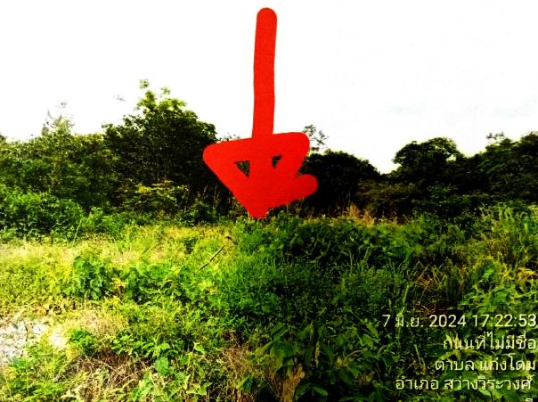 ขายทอดตลาด ที่ดินว่างเปล่า จ.อุบลราชธานี