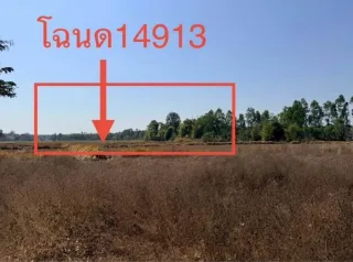 รูปทรัพย์ 2