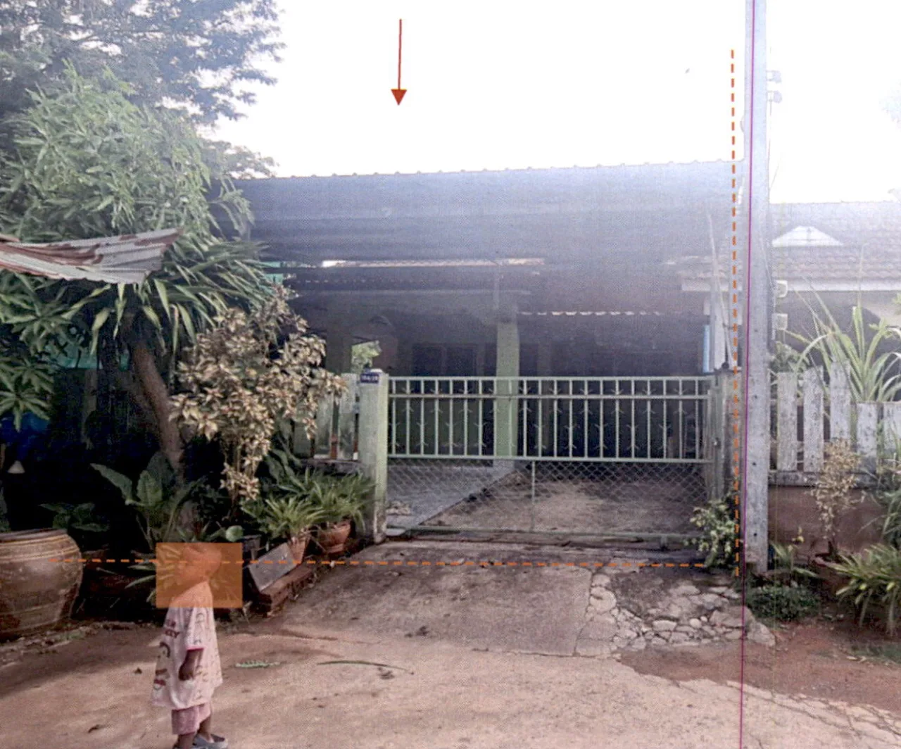 ขายทอดตลาด ที่ดินพร้อมสิ่งปลูกสร้าง ต.ท่าทองใหม่ อ.กาญจนดิษฐ์ จ.สุราษฎร์ธานี