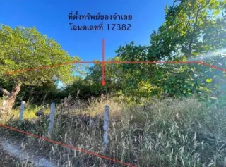 รูปทรัพย์ 1