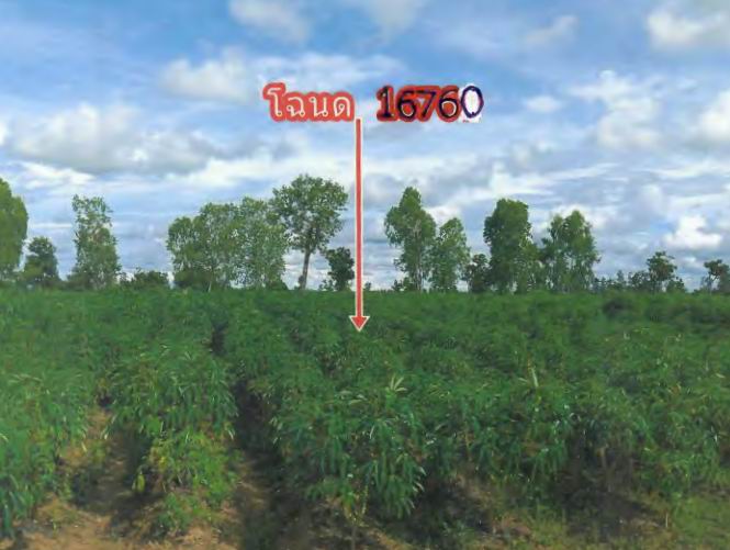 ขายทอดตลาด ที่ดินว่างเปล่า ต.คำไหล อ.ศรีเมืองใหม่ จ.อุบลราชธานี