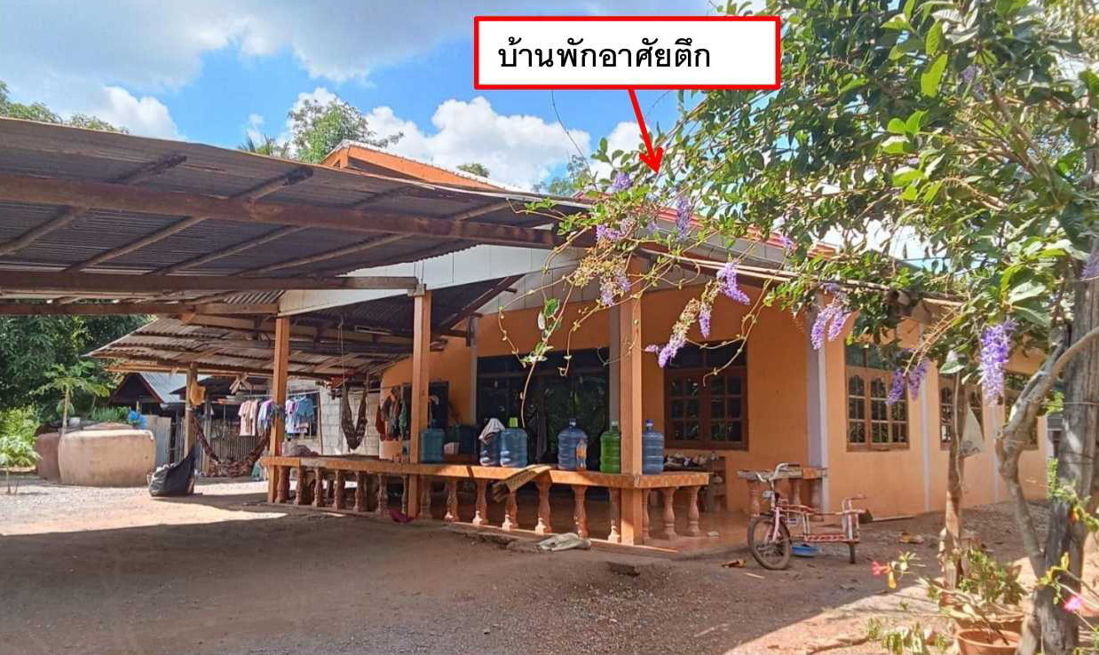 ขายทอดตลาด ที่ดินพร้อมสิ่งปลูกสร้าง ต.เมืองใหม่ อ.ศรีบุญเรือง จ.หนองบัวลำภู