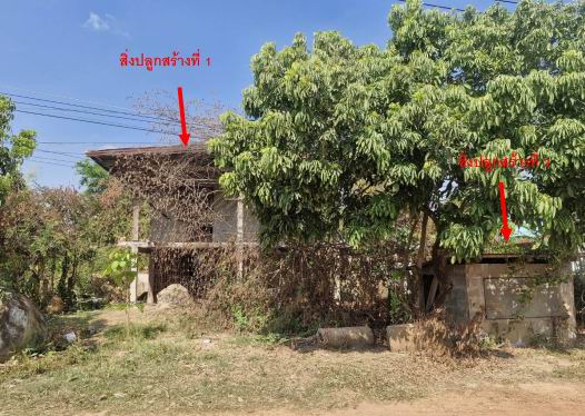 ขายทอดตลาด ที่ดินพร้อมสิ่งปลูกสร้าง ต.หนองทันน้ำ อ.กุดข้าวปุ้น จ.อุบลราชธานี