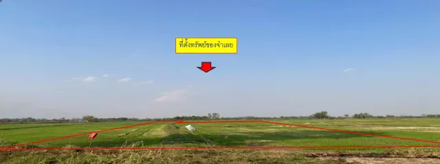 ขายทอดตลาด ที่ดินว่างเปล่า จ.หนองคาย