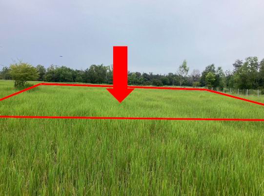 ขายทอดตลาด ที่ดินว่างเปล่า ต.หนองขอน อ.เมืองอุบลราชธานี จ.อุบลราชธานี