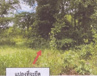 รูปทรัพย์ 5