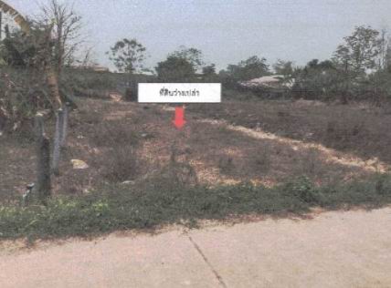 ขายทอดตลาด ที่ดินว่างเปล่า จ.หนองคาย