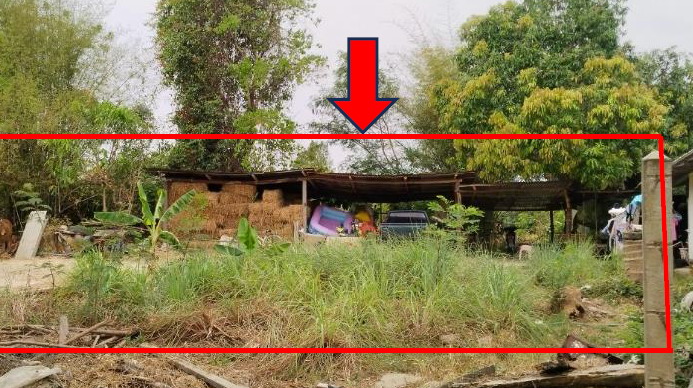 ขายทอดตลาด ที่ดินพร้อมสิ่งปลูกสร้าง ต.กระเดียน อ.ตระการพืชผล จ.อุบลราชธานี
