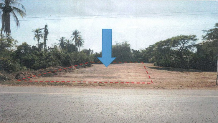 ขายทอดตลาด ที่ดินว่างเปล่า จ.หนองคาย