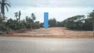 รูปทรัพย์ 1