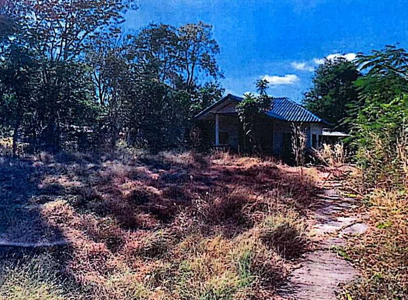ขายทอดตลาด ที่ดินพร้อมสิ่งปลูกสร้าง ต.หนองบัว อ.เมืองหนองบัวลำภู จ.หนองบัวลำภู