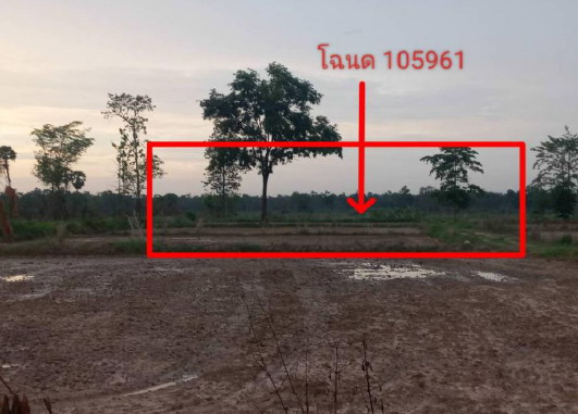 ขายทอดตลาด ที่ดินว่างเปล่า ต.คูเมือง อ.วารินชำราบ จ.อุบลราชธานี