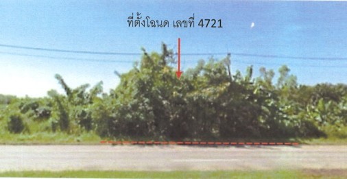 ขายทอดตลาด ที่ดินว่างเปล่า จ.หนองคาย