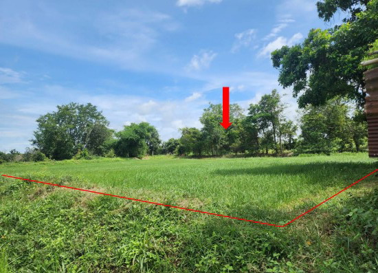 ขายทอดตลาด ที่ดินว่างเปล่า ต.พังเคน อ.นาตาล จ.อุบลราชธานี
