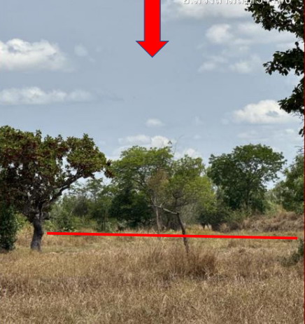 ขายทอดตลาด ที่ดินว่างเปล่า ต.ยางโยภาพ อ.ม่วงสามสิบ จ.อุบลราชธานี