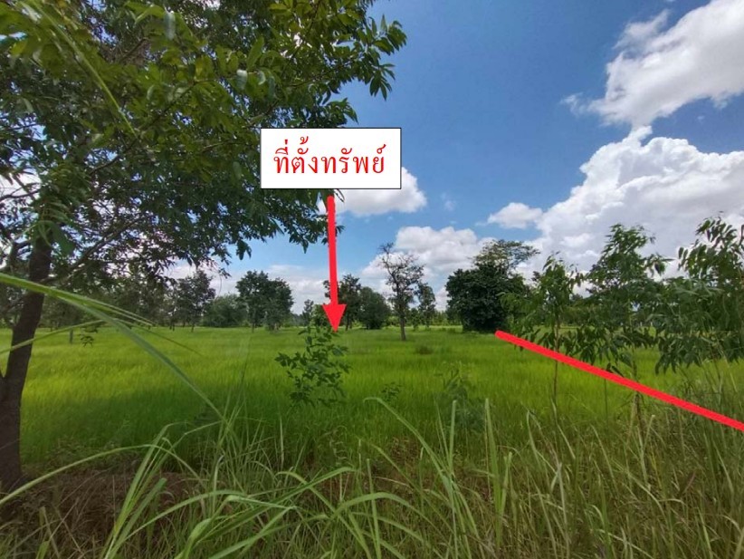 ขายทอดตลาด ที่ดินว่างเปล่า ต.บ้านผือ อ.โพนพิสัย จ.หนองคาย