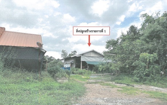 ขายทอดตลาด ที่ดินพร้อมสิ่งปลูกสร้าง ต.หินโงม อ.เมืองหนองคาย จ.หนองคาย