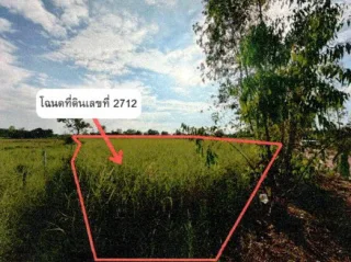 รูปทรัพย์ 2