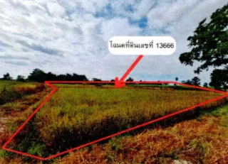 รูปทรัพย์ 2