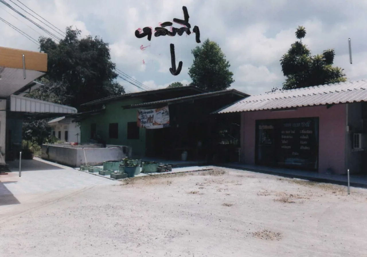 ขายทอดตลาด ที่ดินพร้อมสิ่งปลูกสร้าง ต.ช้างขวา อ.กาญจนดิษฐ์ จ.สุราษฎร์ธานี