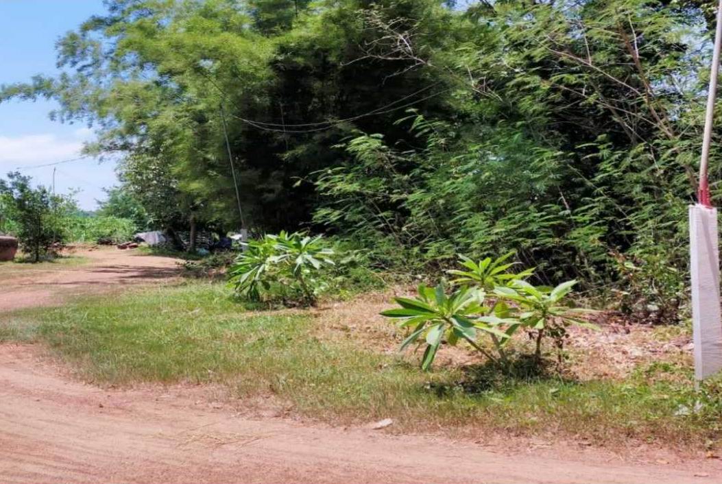 ขายทอดตลาด ที่ดินว่างเปล่า ต.หนองสวรรค์ อ.เมืองหนองบัวลำภู จ.หนองบัวลำภู