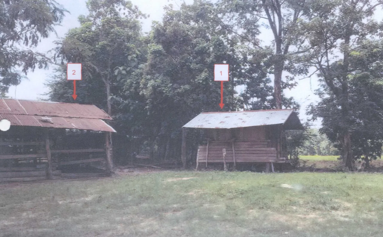 ขายทอดตลาด ที่ดินพร้อมสิ่งปลูกสร้าง ต.หนองนกทา อ.เขมราฐ จ.อุบลราชธานี