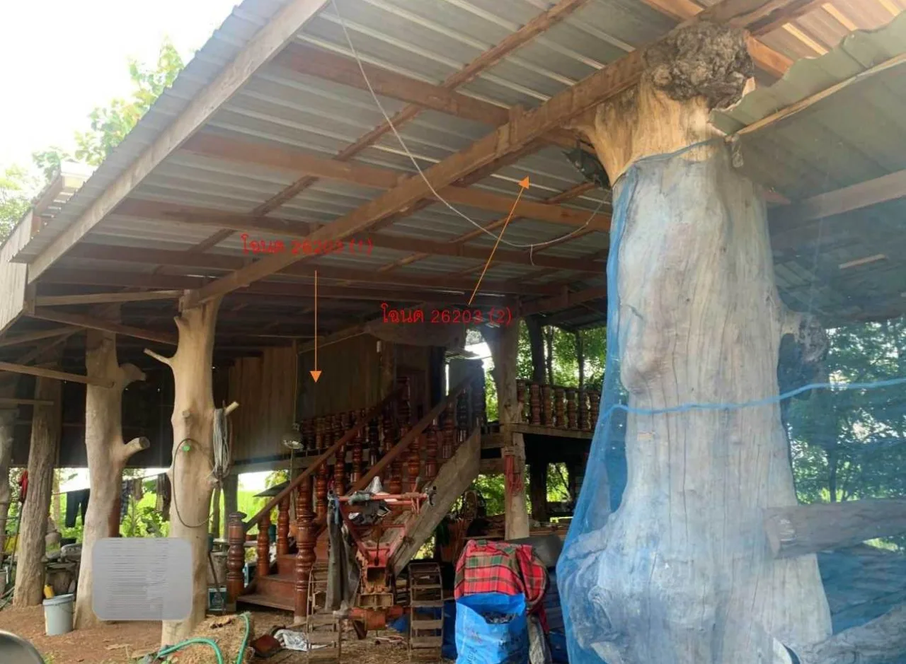 ขายทอดตลาด ที่ดินพร้อมสิ่งปลูกสร้าง ต.หนองสวรรค์ อ.เมืองหนองบัวลำภู จ.หนองบัวลำภู