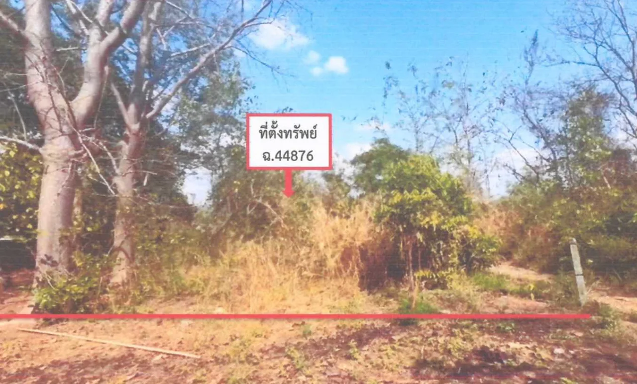 ขายทอดตลาด ที่ดินว่างเปล่า ต.หนองบัว อ.เมืองหนองบัวลำภู จ.หนองบัวลำภู