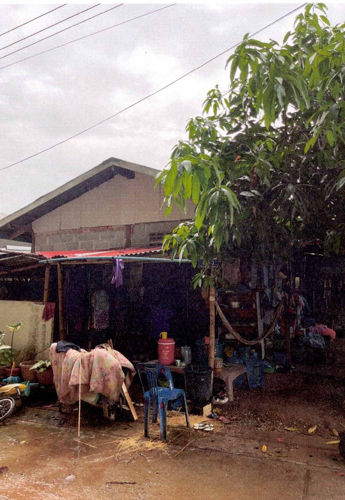 ขายทอดตลาด ที่ดินพร้อมสิ่งปลูกสร้าง ต.โพนสา อ.ท่าบ่อ จ.หนองคาย