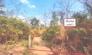 รูปทรัพย์ 2