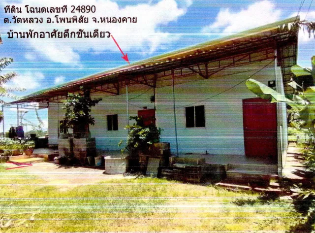 ขายทอดตลาด ที่ดินพร้อมสิ่งปลูกสร้าง ต.วัดหลวง อ.โพนพิสัย จ.หนองคาย