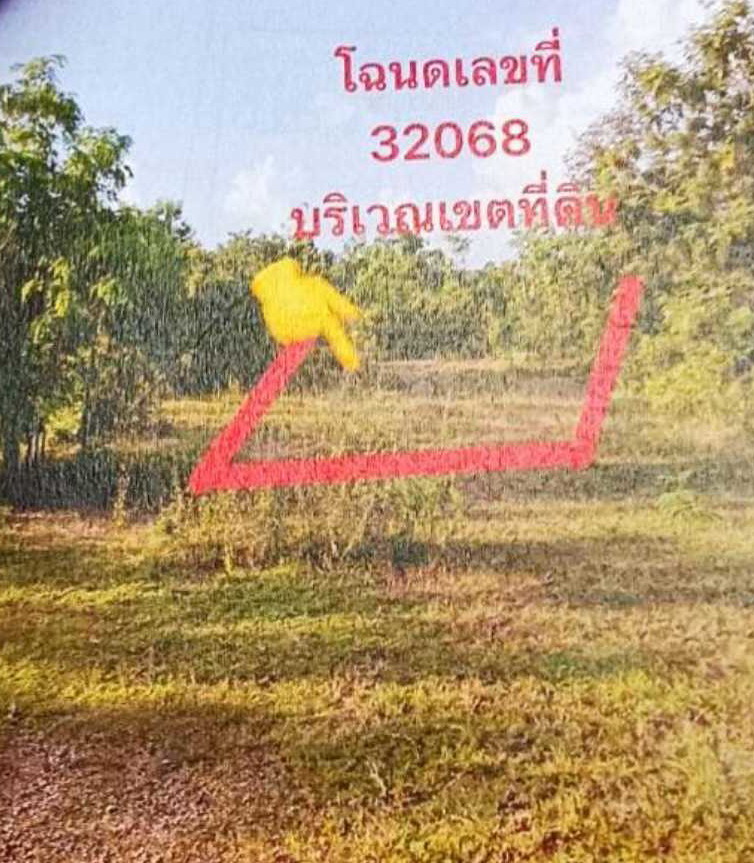 ขายทอดตลาด ที่ดินว่างเปล่า ต.โพธิ์ชัย อ.เมืองหนองบัวลำภู จ.หนองบัวลำภู